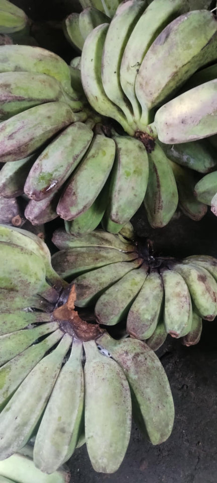Ann's Banana Chips
