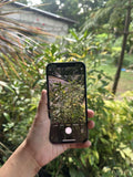 mobile phones